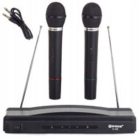 Set karaoke 2 micro sans fil + station