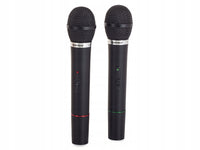 Set karaoke 2 micro sans fil + station