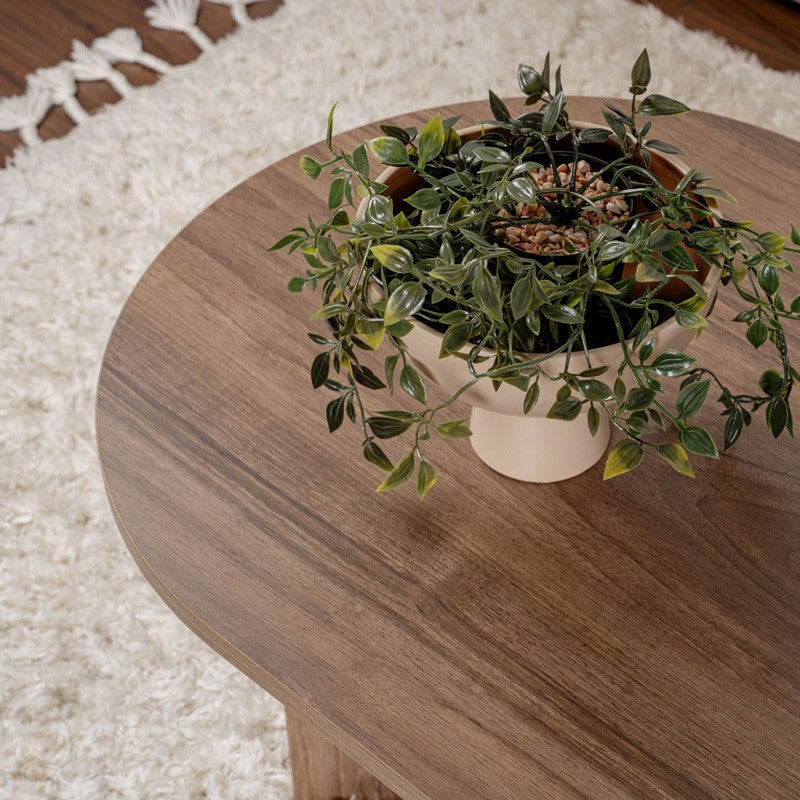 Table basse bois noyer 119x60x40cm