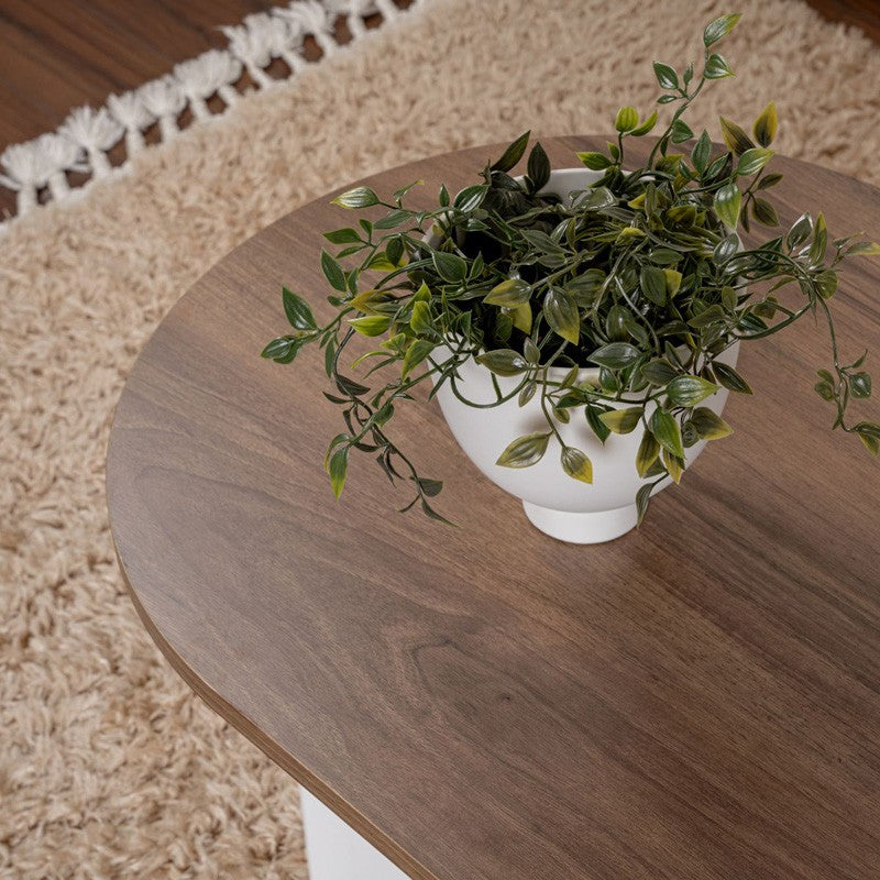 Table basse bois noyer blanc 119x60x40 cm