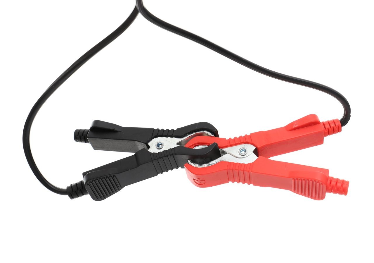 Chargeur de batterie 18 W 1 A 10-30 Ah