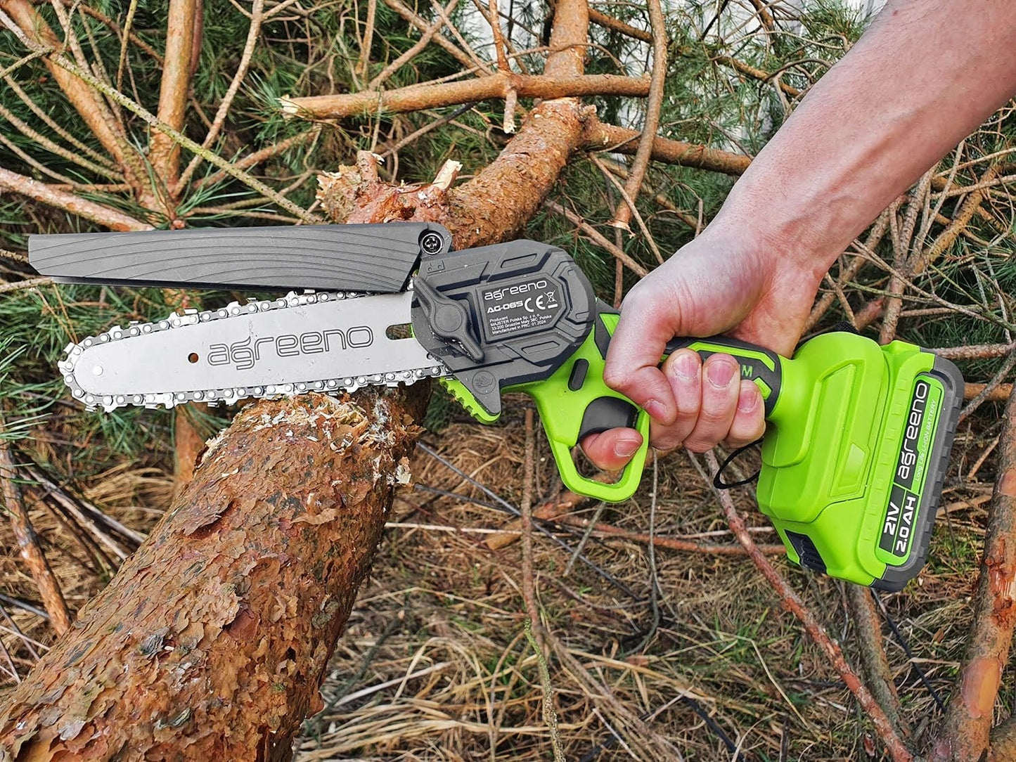 Set tronçonneuse batterie 21V 15cm 2x 2Ah