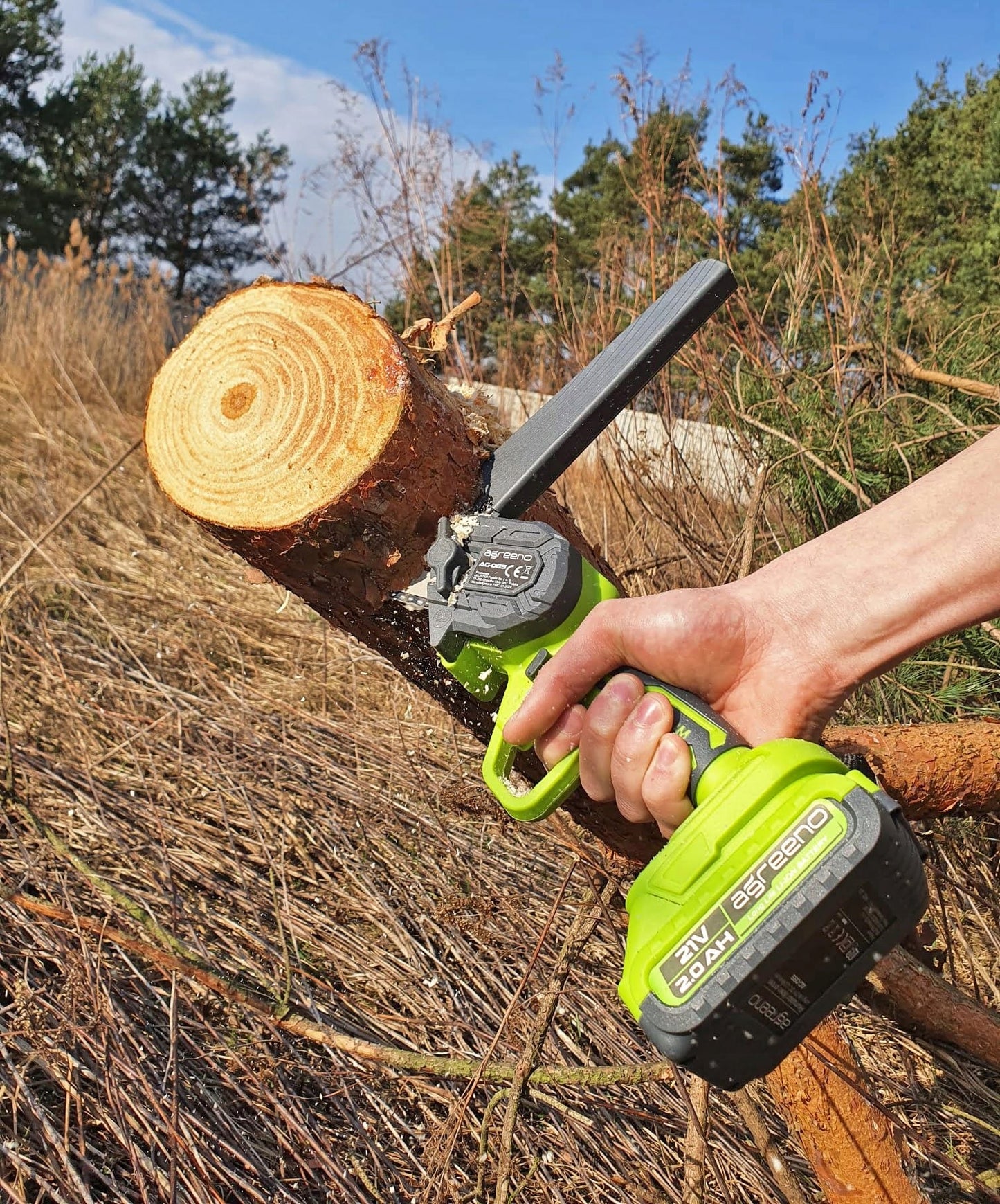 Set tronçonneuse batterie 21V 15cm 2x 2Ah