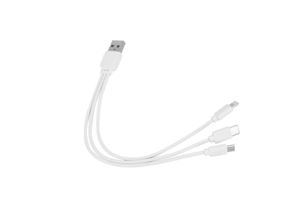 Dispositif Multifonctions démarreur auto 800A